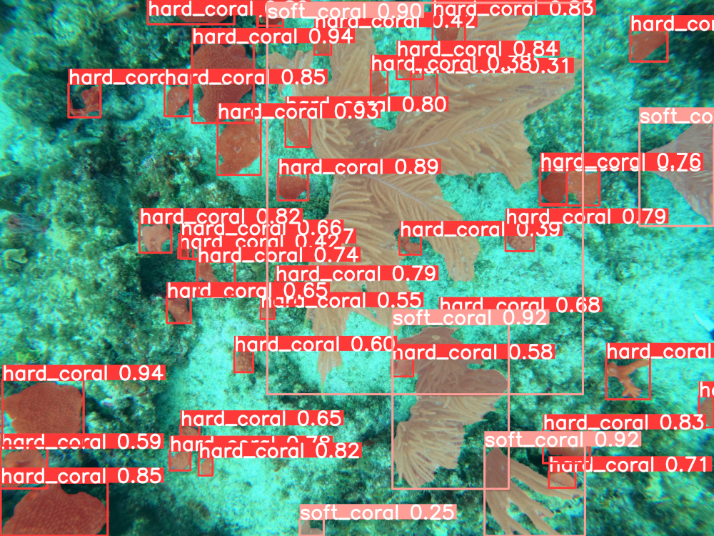 Coral Reef Segmentation and Analysis