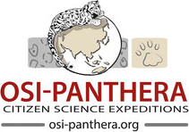 OSI Panthera