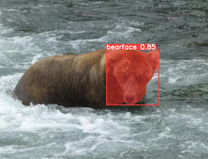 A guide to designing a bear face segmentation system