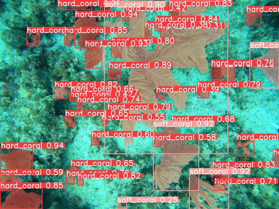 How to build a benthic coral reefs analyser