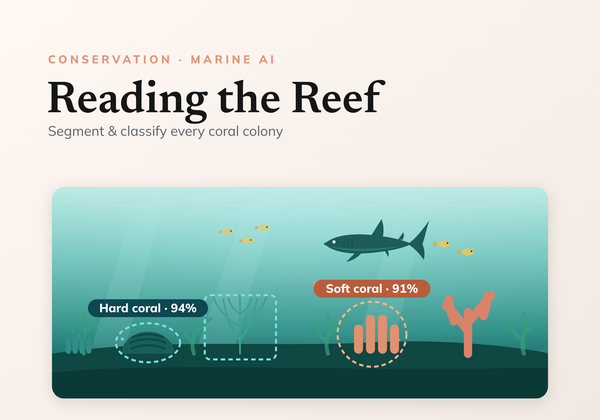 How to build a benthic coral reefs analyser