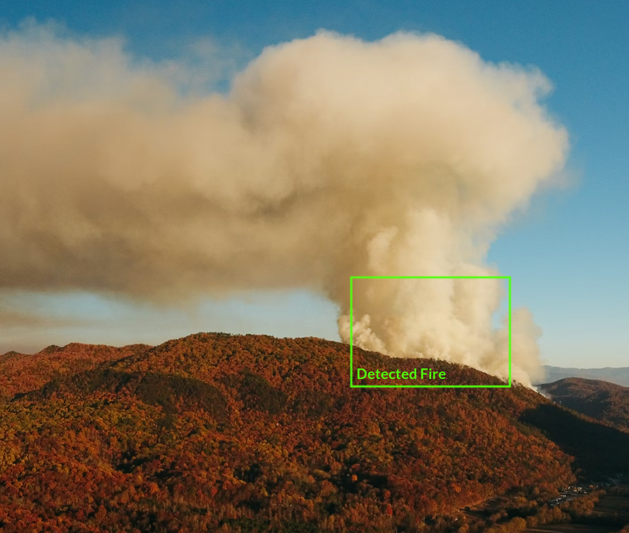 Protecting the Forest: Building an early forest fire detector