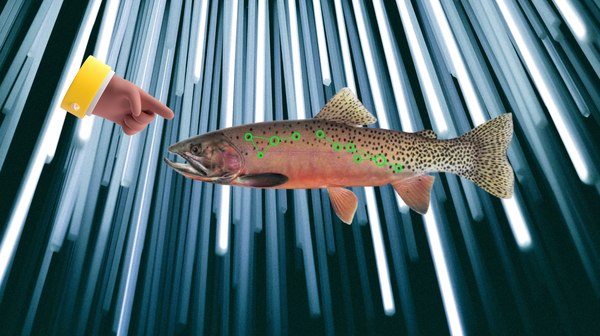 How to prepare data for IDentification?