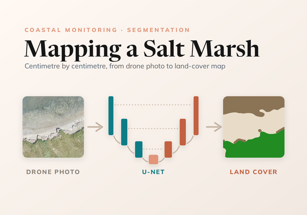 Mapping a Salt Marsh, Centimetre by Centimetre