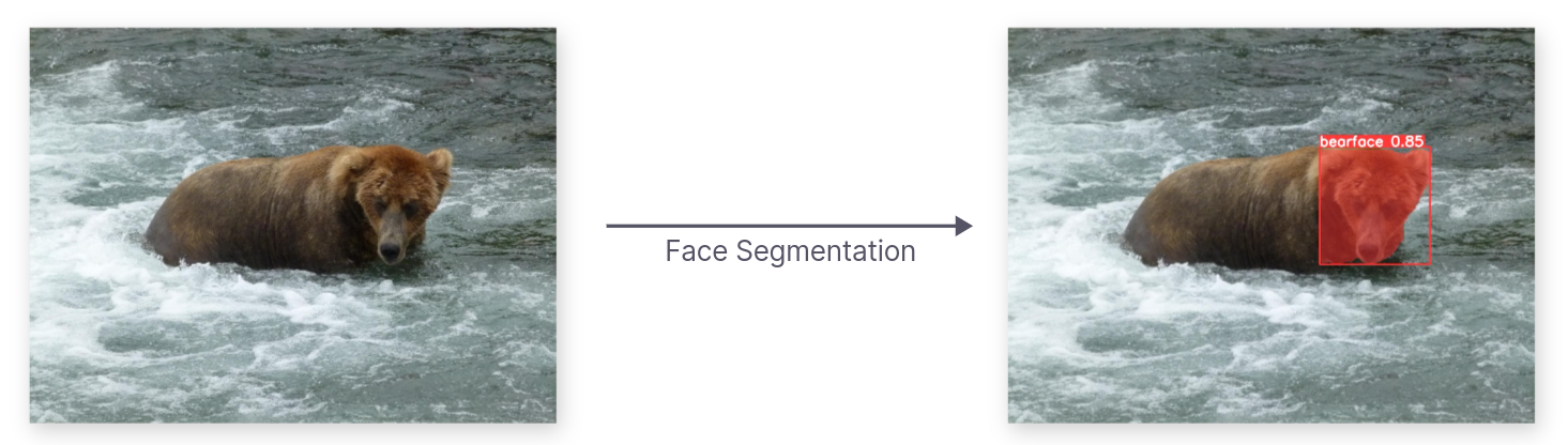 Instance Segmentation