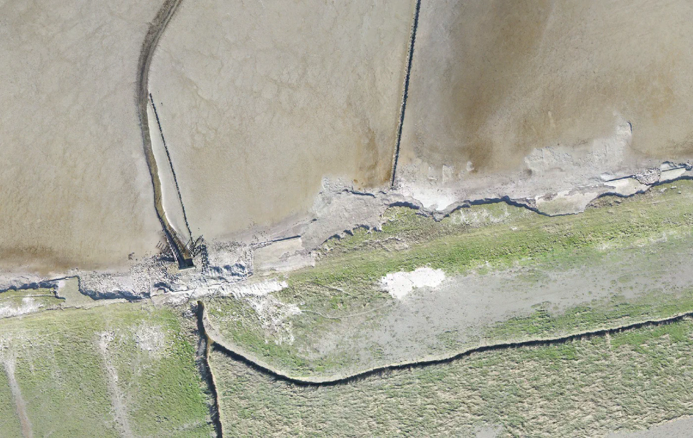 The same 120 m of marsh cliff and groyne field at Wierum, two winters apart (Mar 2026)