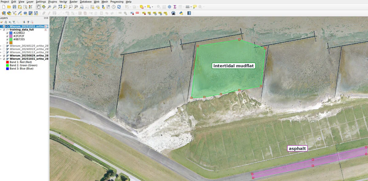 QGIS with drone orthophotos of Wierum and two label polygons, one for intertidal mudflat and one for asphalt