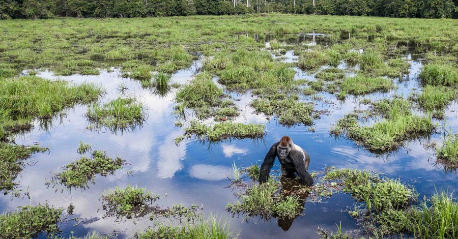 Scaling conservation operations
