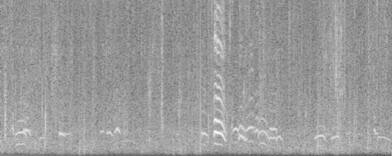 Spectrogram 0