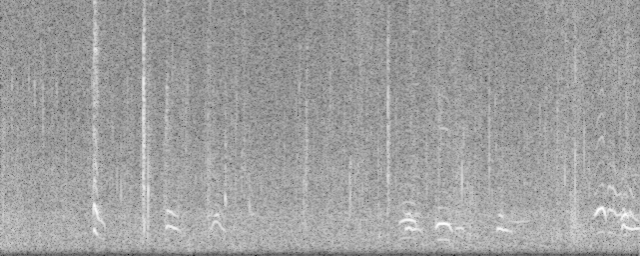 Spectrogram 1