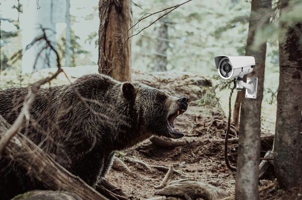 Human-Wildlife Conflict