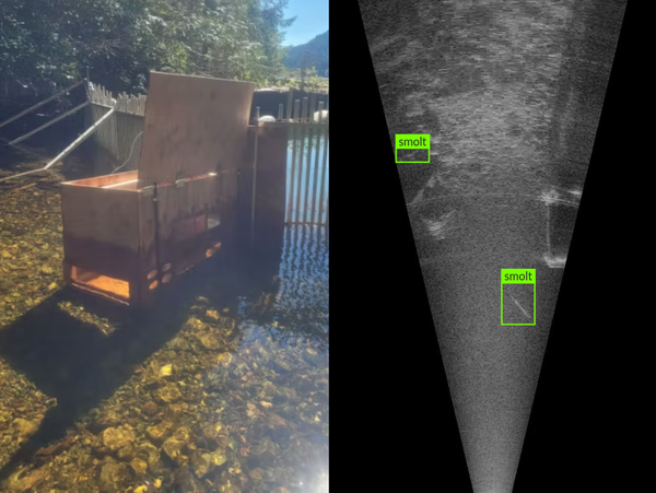 Monitoring Smolt Salmon Migration with Sonar