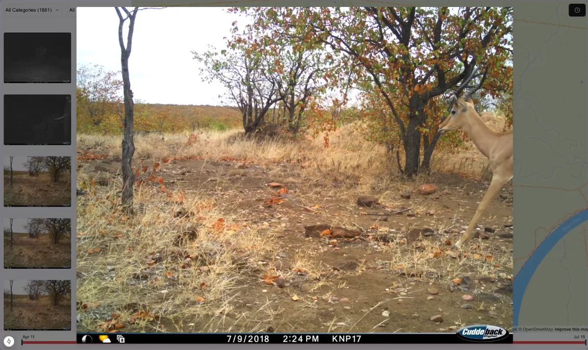 Cocomap Detection View