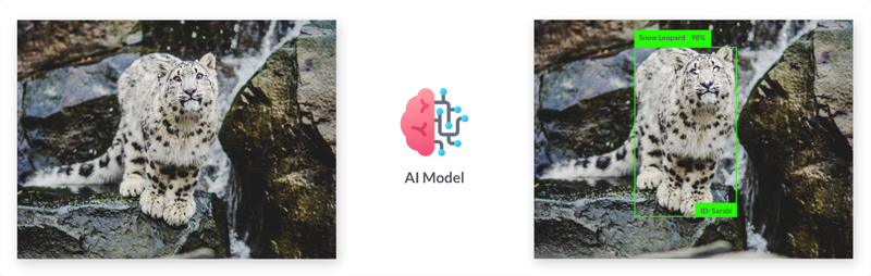 Identification of individuals