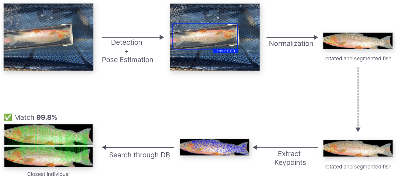 ML Pipeline for Trout Identification