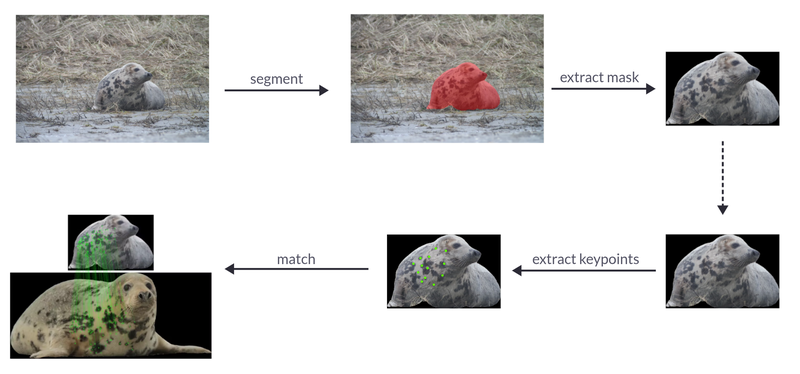 Re-Identification Pipeline