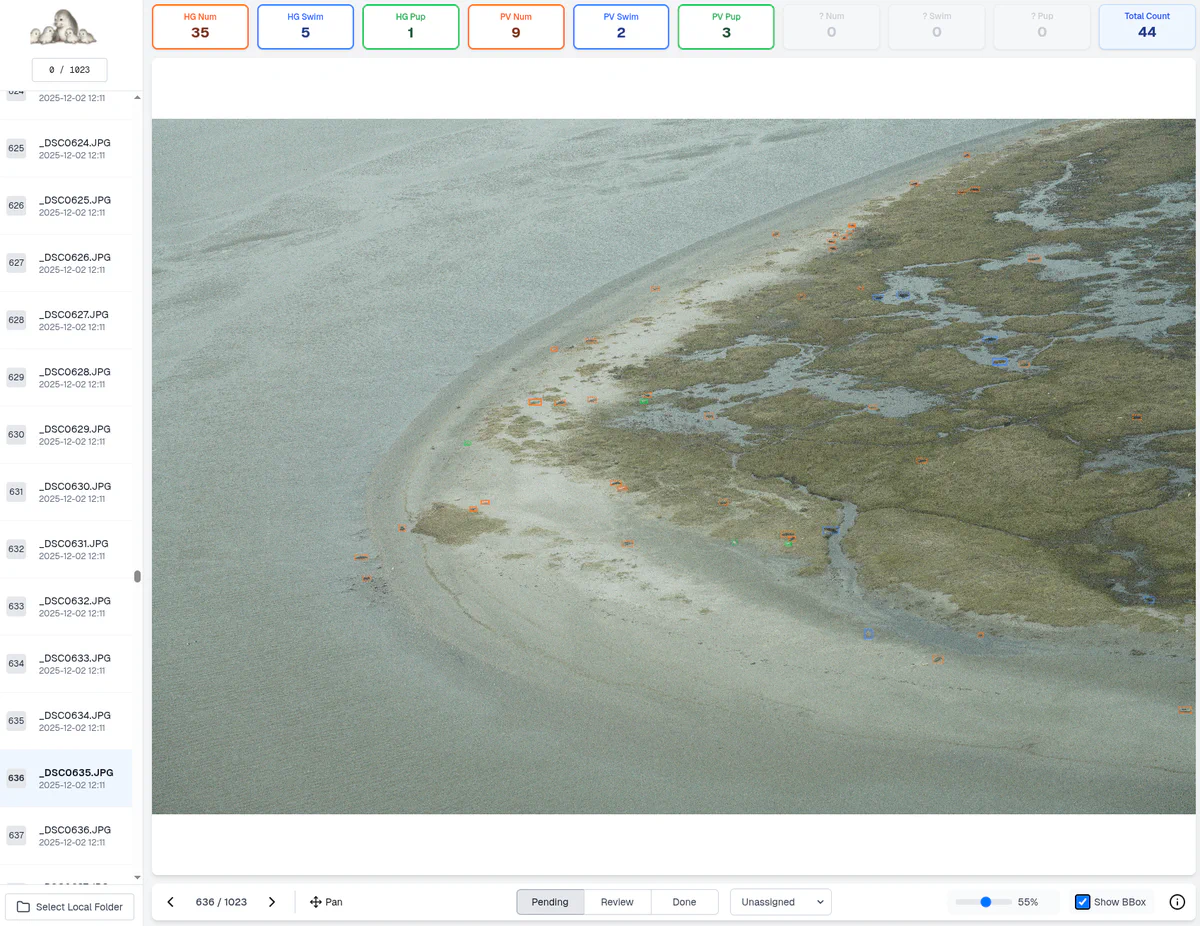 Web Application Review Interface