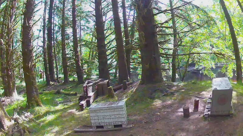 Setting up sonar at the Haida site