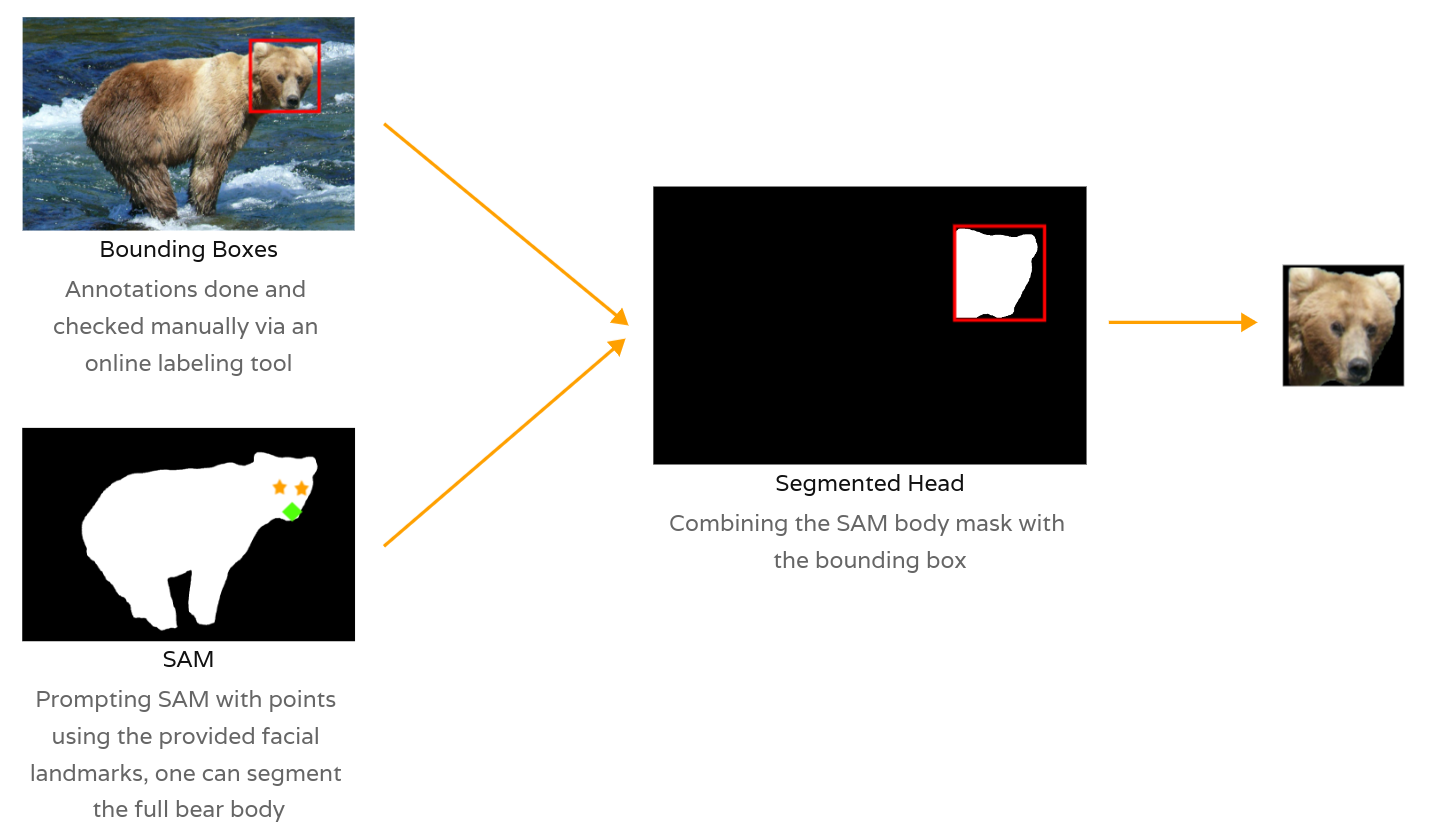 Generating Bear Face Masks