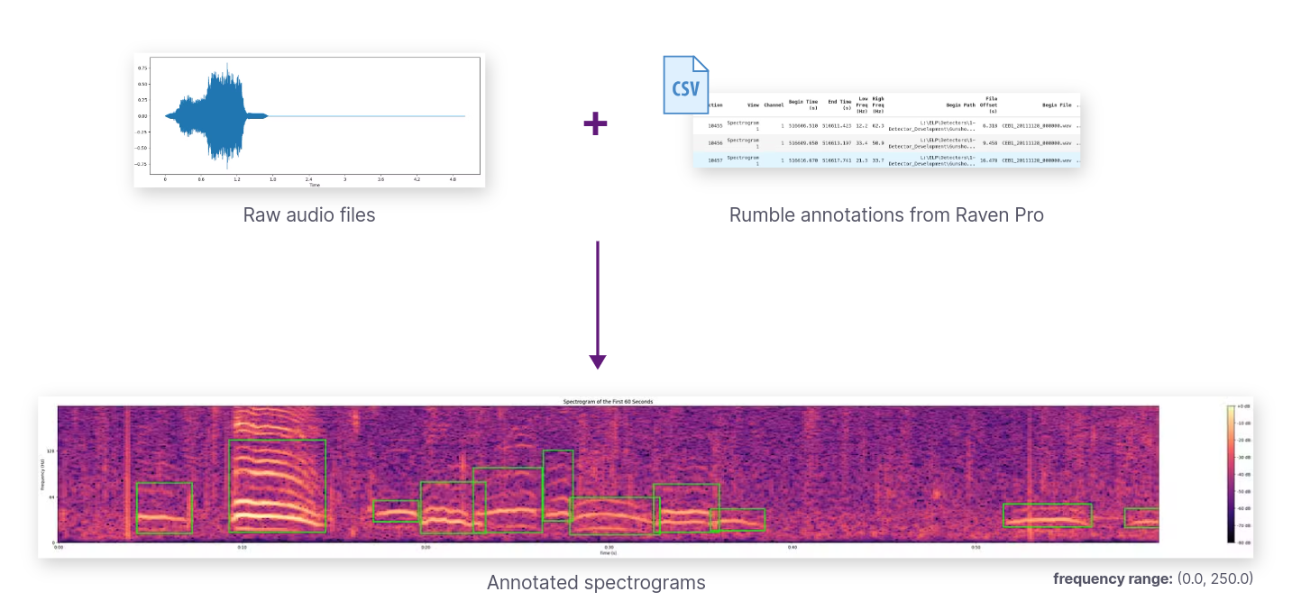 Dataset Overview