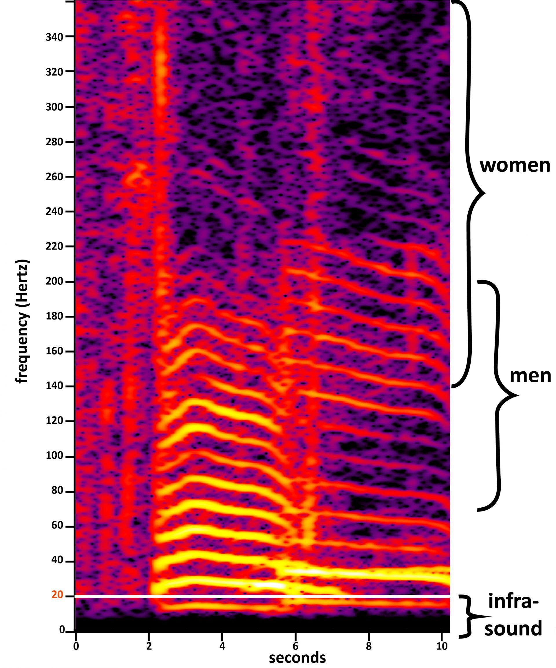 Spectrogram Rumble