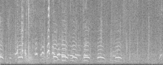 Torchaudio Spectrogram