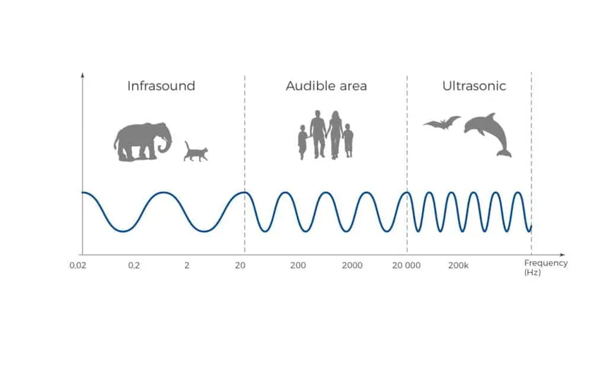 Sound Frequencies