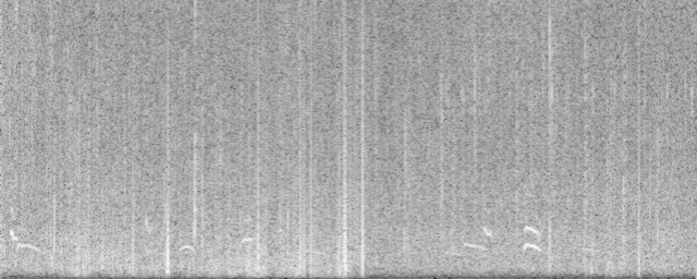 Spectrogram 1