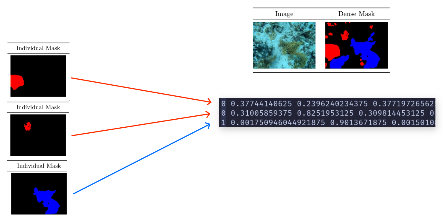 YOLOv8 TXT Format from Individual Masks