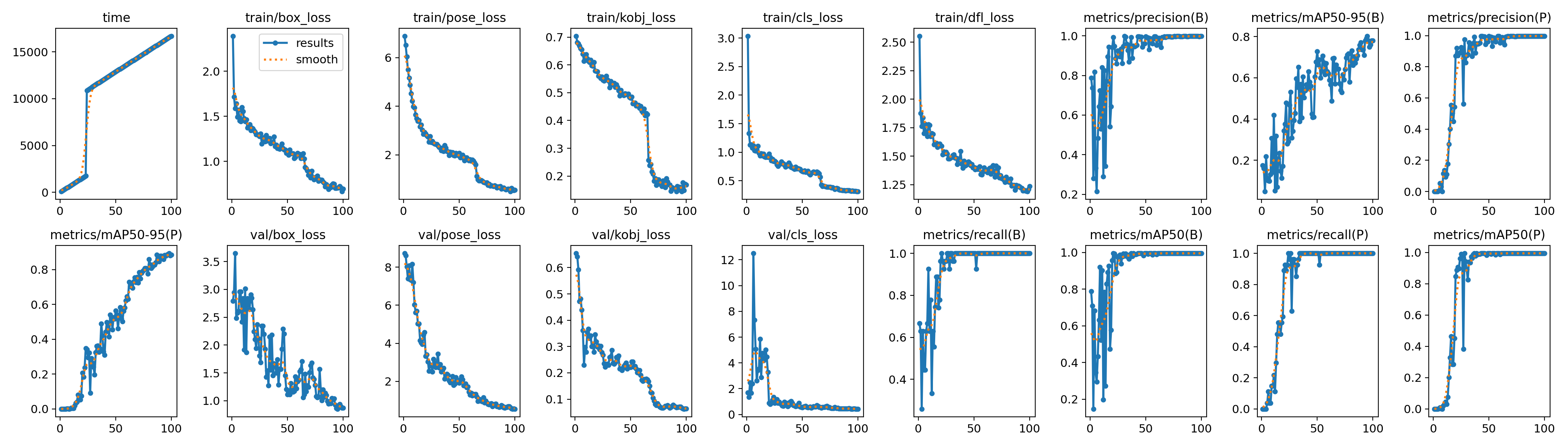 Finetuning of a Pose Estimation Model on Trouts