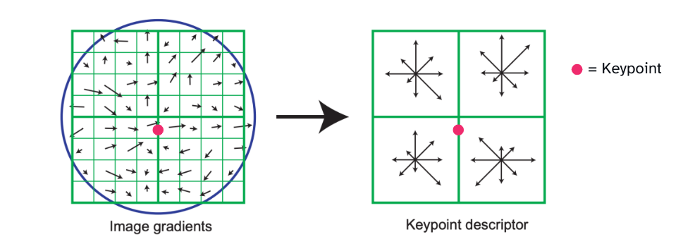 SIFT Descriptors