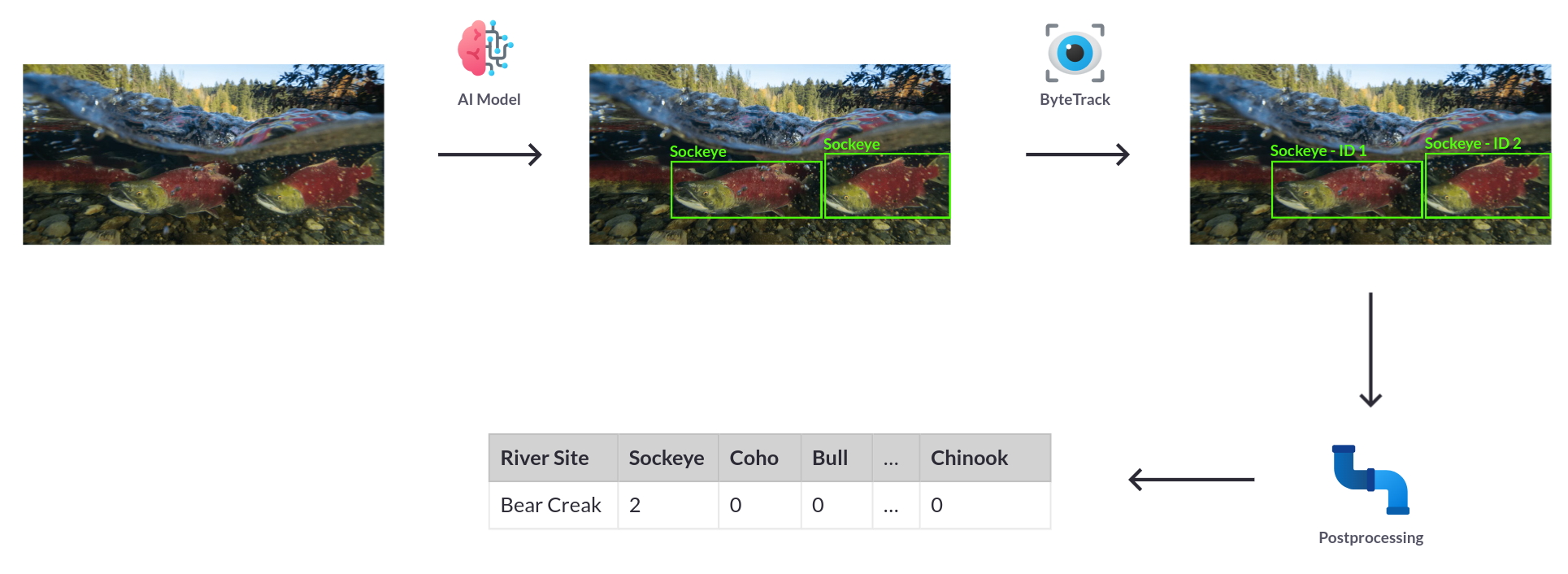 ML Pipeline