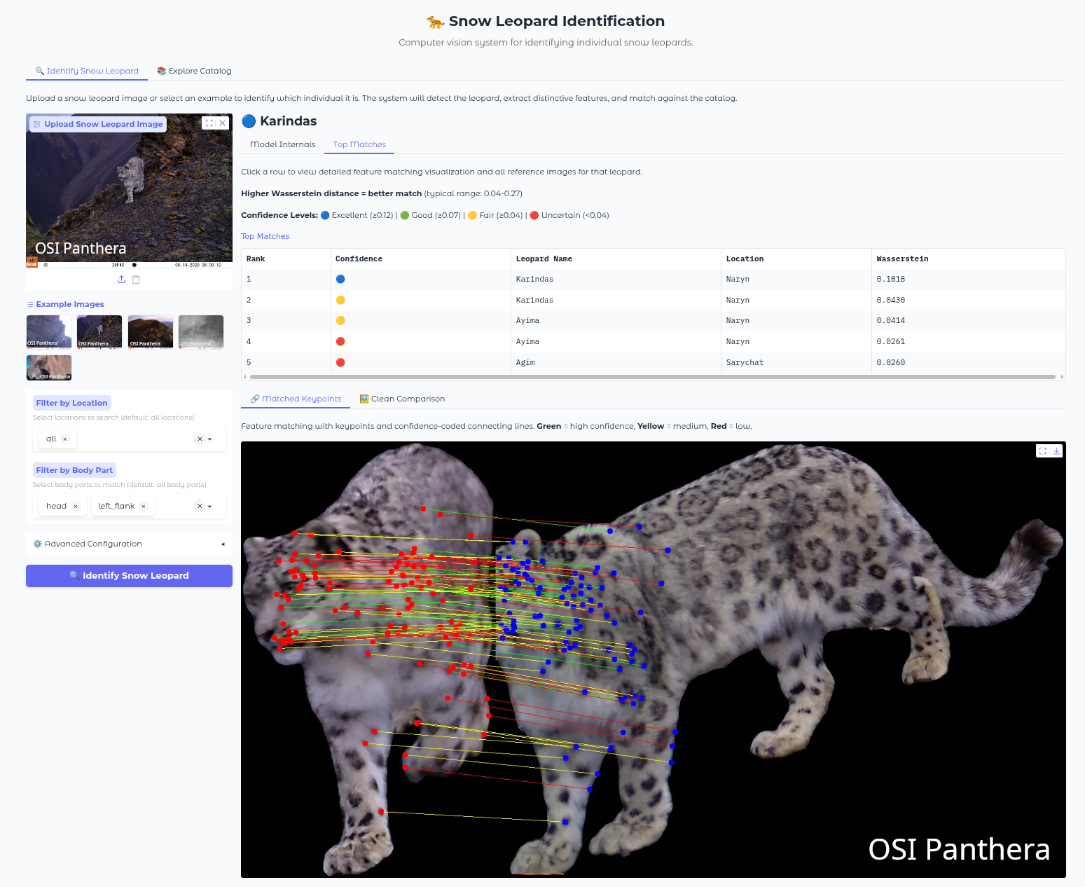 Snow Leopard Identification