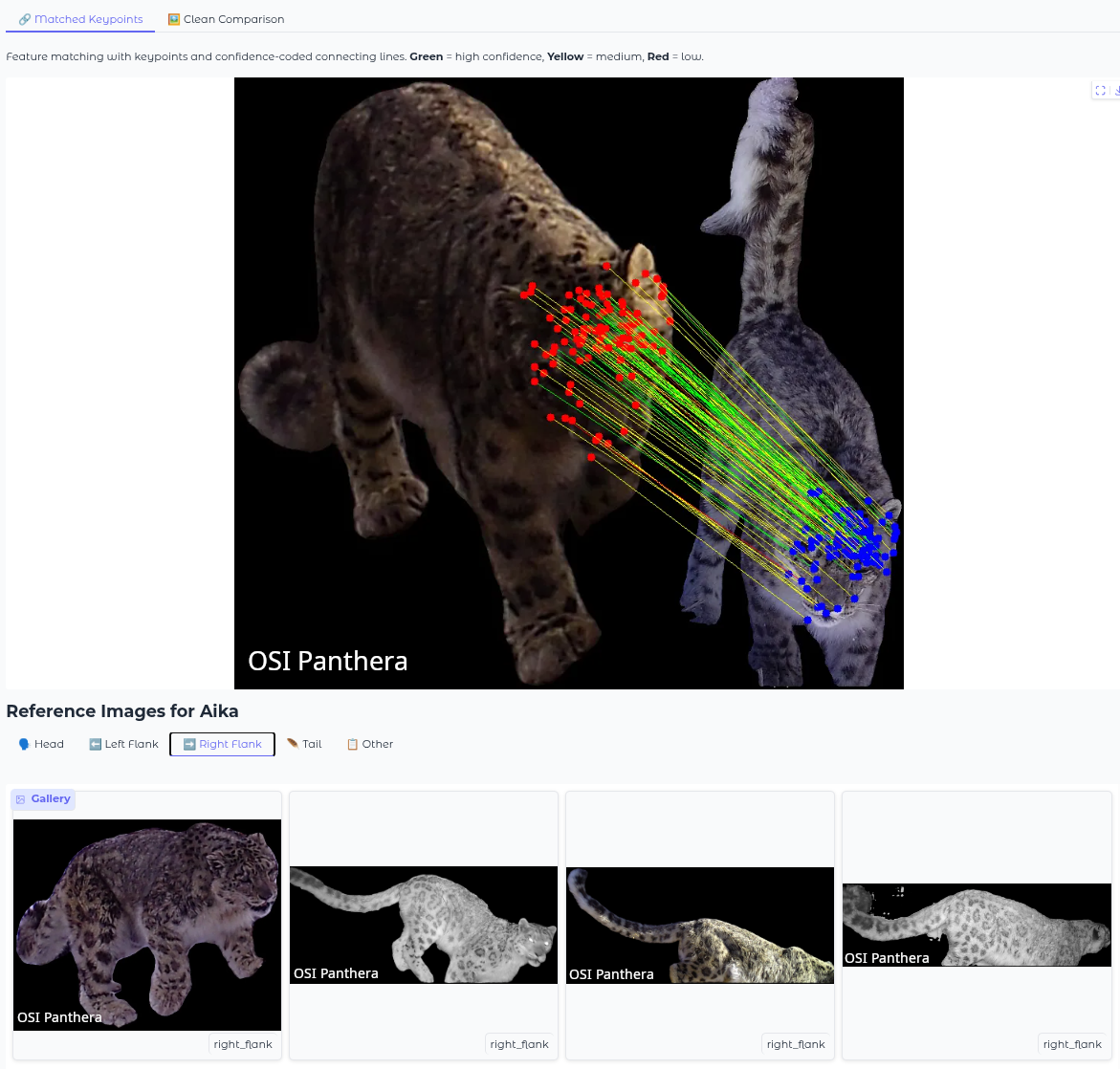 Leopard Spot Analysis
